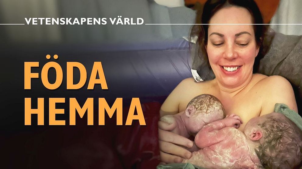 Vetenskapens värld Föda hemma