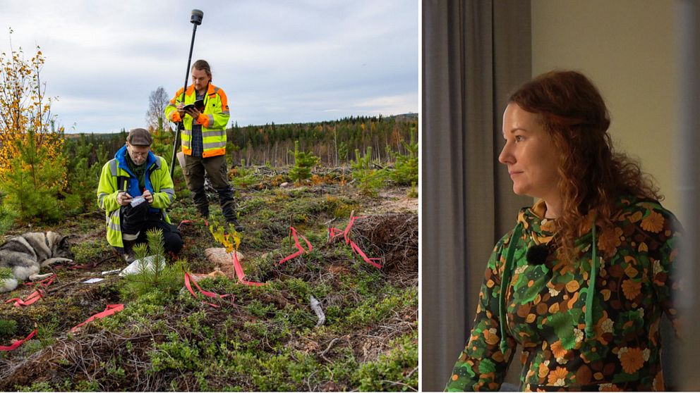 Arkeologer vid utgrävning av rödockragravar.