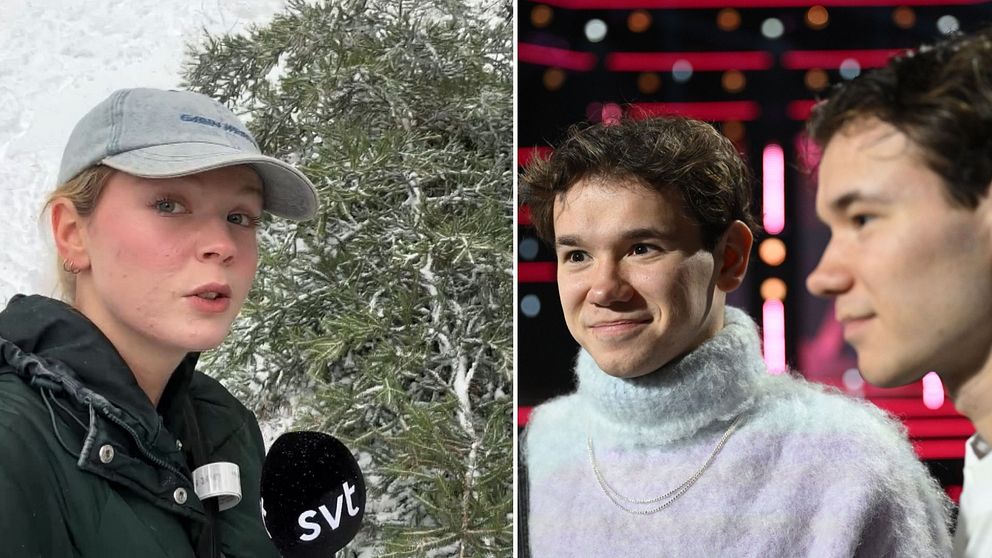 Motorsågar | SVT Nyheter