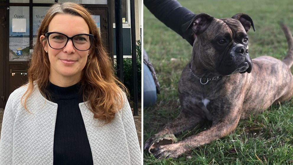 Hund, människa
