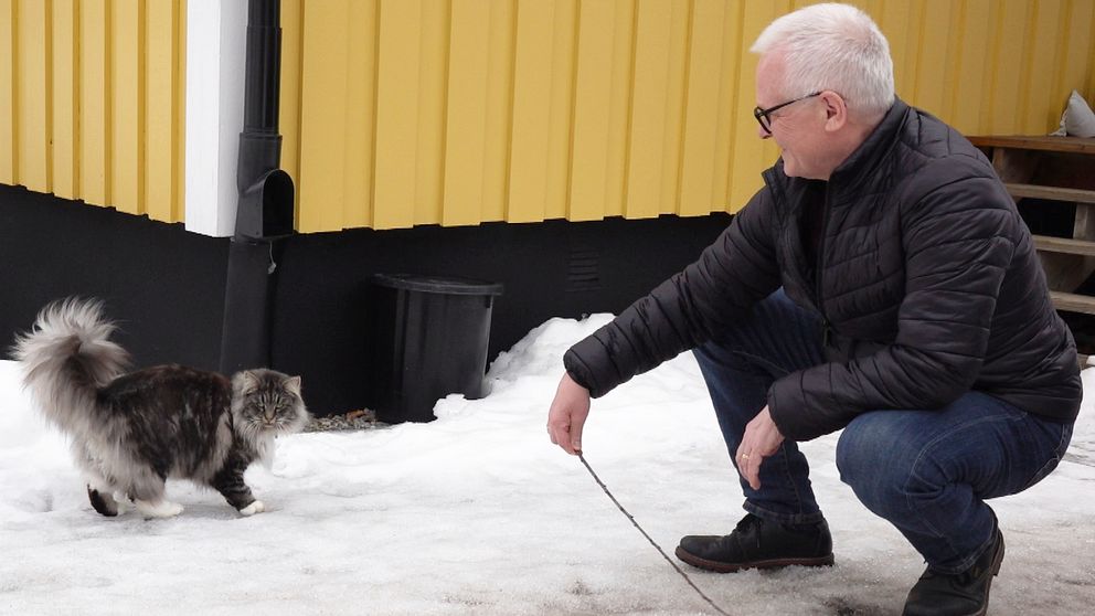 Kattägaren Tomas sitter på huk och leker med katten Doris med en pinne.