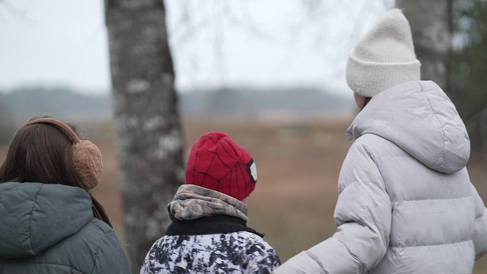Tre barn står med ryggen mot kameran och tittar ut över ett landskap.