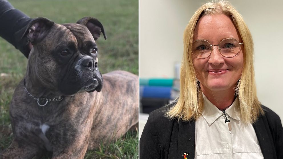 Till vänster ligger en hund i gräset. Till höger ses familjerättsjuristen Caroline.