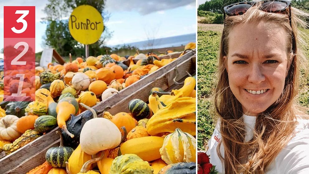En delad bild med två sektioner. Den vänstra sektionen visar en variation av pumpor i olika färger och former med en skylt som säger ”Pumpor” i bakgrunden. Den högra sektionen föreställer en person med långt hår, stående i en grön miljö med blommor i handen.