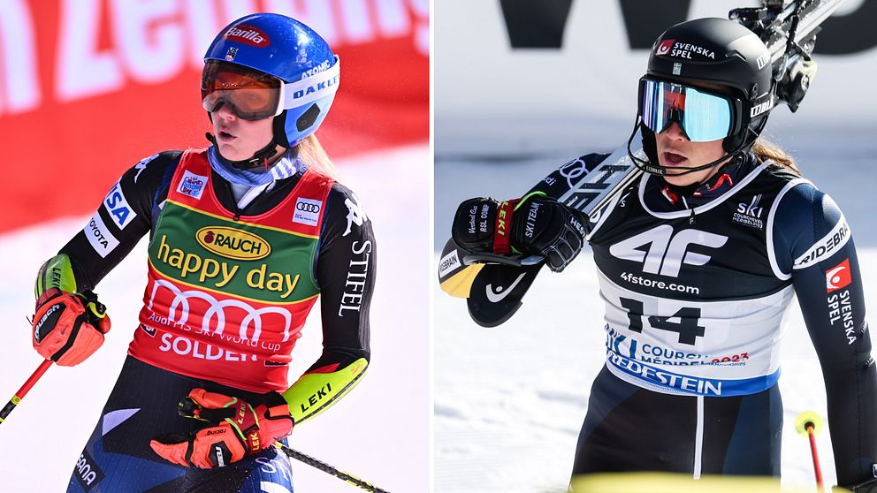 Shiffrin och Hector