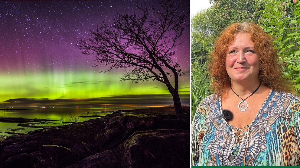 Till vänster norrsken, till höger anna lynx