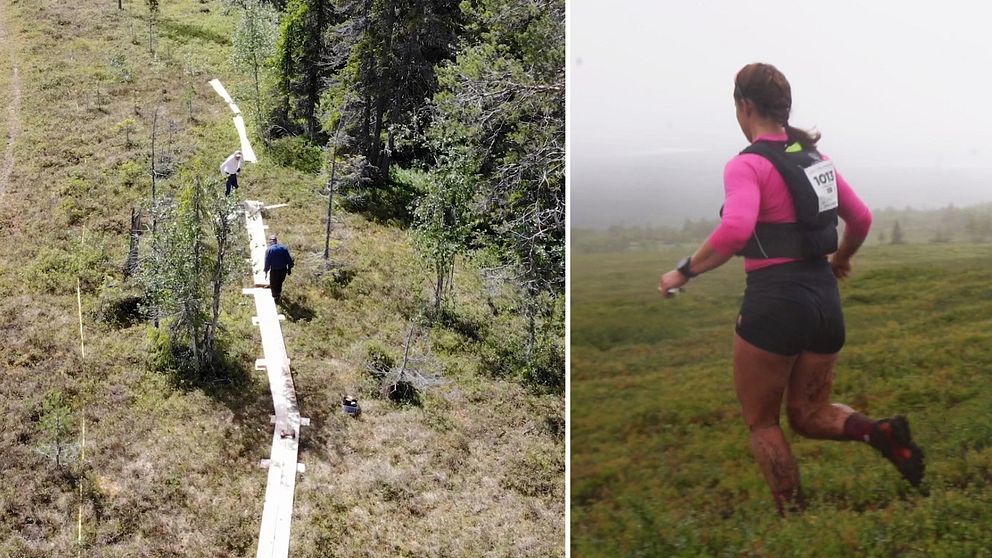 Till vänster en bild på spänger som byggs på ett fjäll, till vänster en kvinna i rosa tröja som springer fjällmaraton