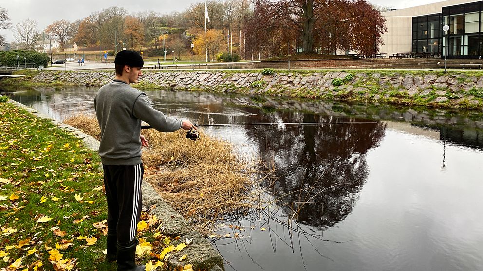 Man, som heter Rod Sandell, fiskar vid Ronnebyån genom Ronneby.