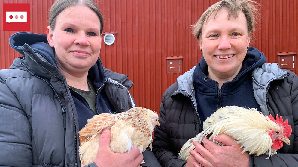 Två kvinnor håller varsin höna i famnen