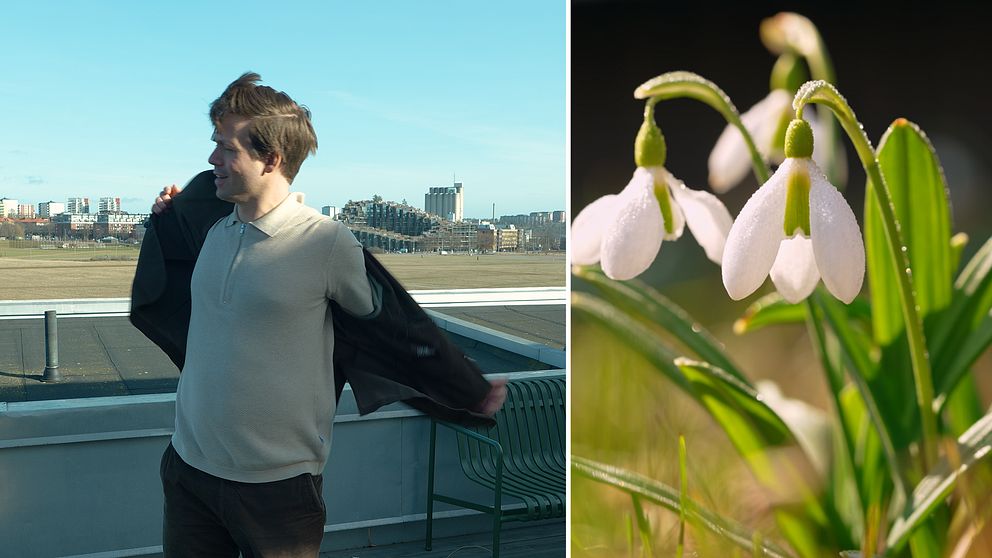 Vänster: Meteorologen Nils Holmqvist tar av sig kostymen. Höger: Snödroppar