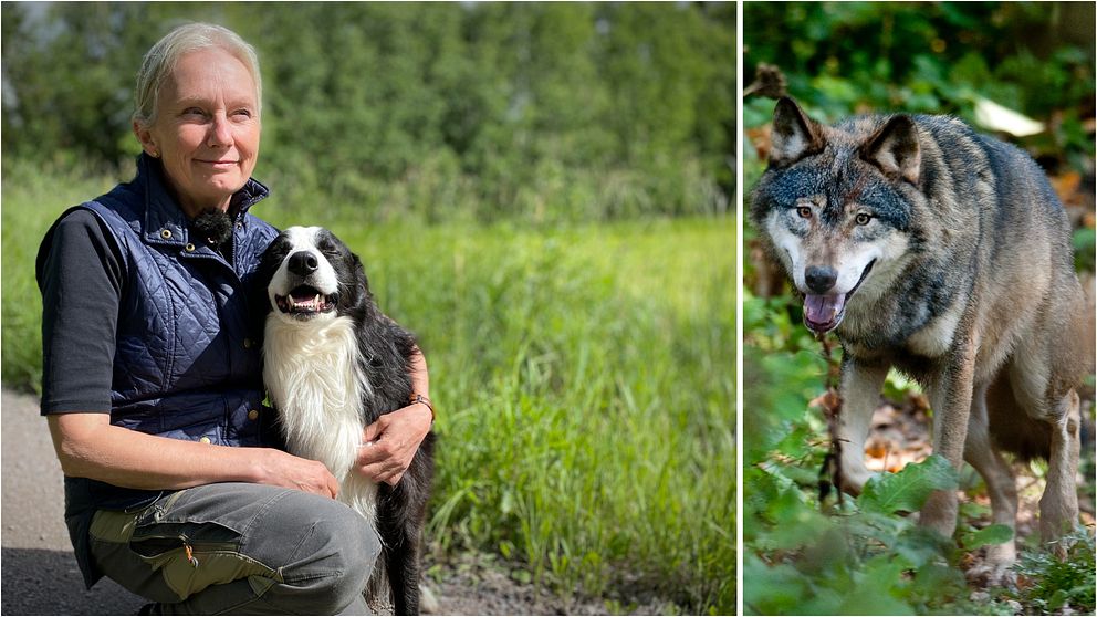 Marie Danielsson med sin hund