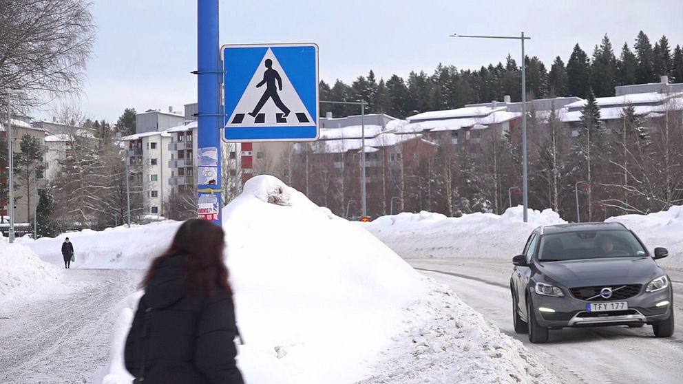 Höga plogkanter i trafiken i Umeå.