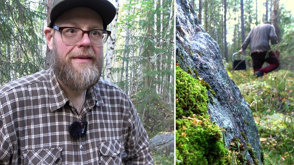 Per Ökvist från Luleå Svampklubb står i skogen iklädd rutig skjorta. Till höger: Han är fotograferad bakifrån när han går i skogen med en svampkorg.