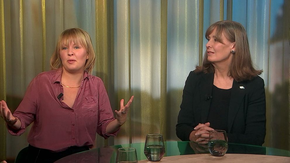 Diskusion om vad sverigefinsk kultur är.