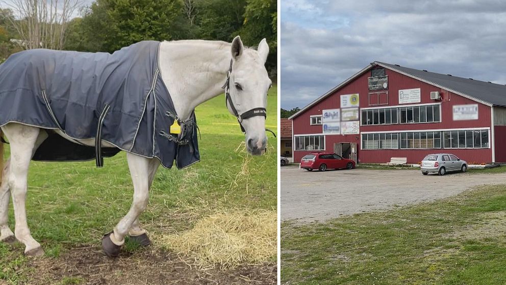 häst och sölvesborgs ridklubb