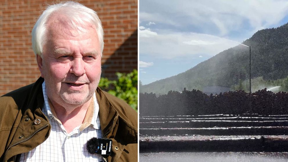 Regionen och Torsby kommun vädjar till Moelven: Sälj Ransbysågen | SVT ...
