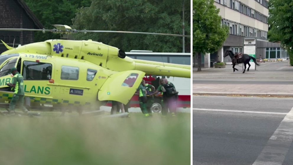 Ambulanshelikopter och en häst som skenade på Djurgården i Stockholm.