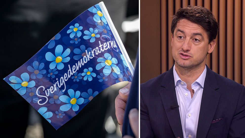 Riksdagen | SVT Nyheter