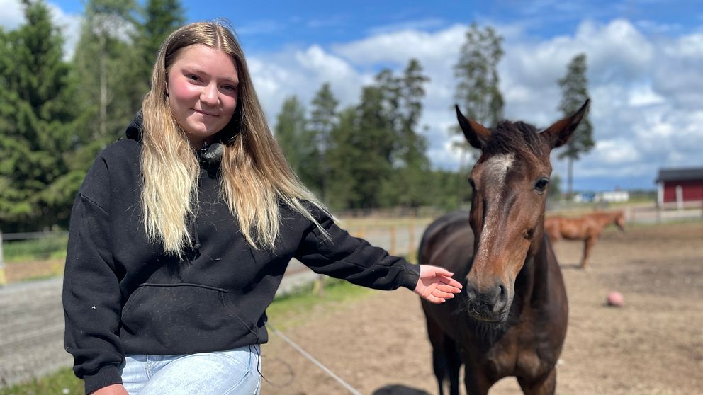Svensk Travsport | SVT Nyheter