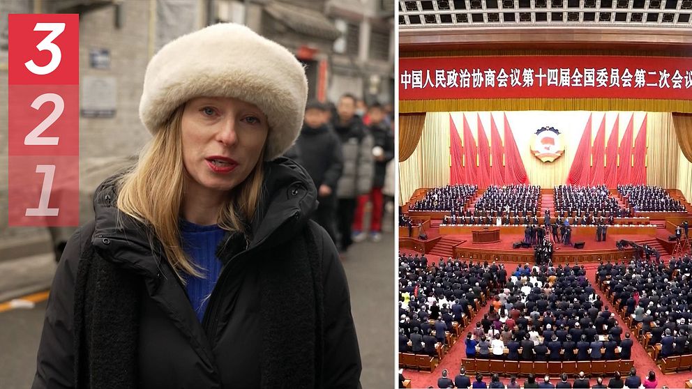 Tilde Lewin | SVT Nyheter