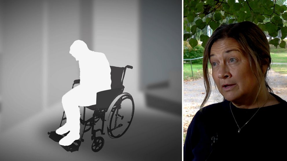 En delad bild som visar två sektioner. Den vänstra sektionen illustrerar en silhuett av en person i rullstol i en rumsmiljö, vilket kan symbolisera funktionsnedsättning eller behov av hjälpmedel. Den högra sektionen visar en kvinna i en utomhusmiljö, med träd och grönska i bakgrunden, vilket ger en känsla av liv och natur.