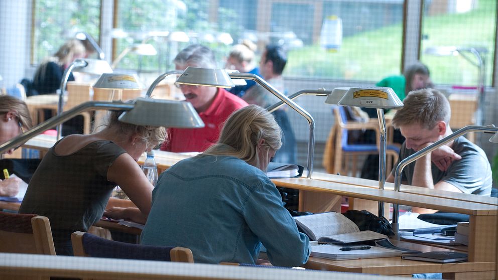 Studenter sitter vid skrivbord i ett studiemiljö med lampor, fokuserade på sina böcker och anteckningar. Bakom dem syns andra studenter, vilket skapar en livlig atmosfär i rummet.