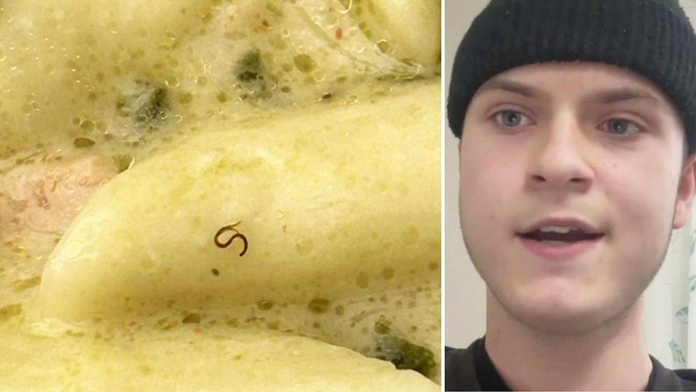 En fiskparasit i en pasta på NTI-gymnasiet vid Odenplan i Stockholm