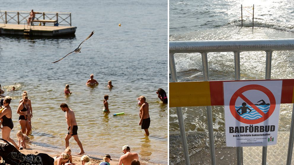 Här är faktorerna som avgör  vattenkvalitén på badplatser