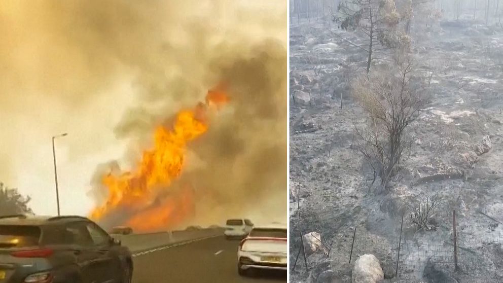 Delad bild. Vänster: bilar vid vägrenen nära stor skogsbrand. Höger: nedbränt och svartnat skogslandskap.