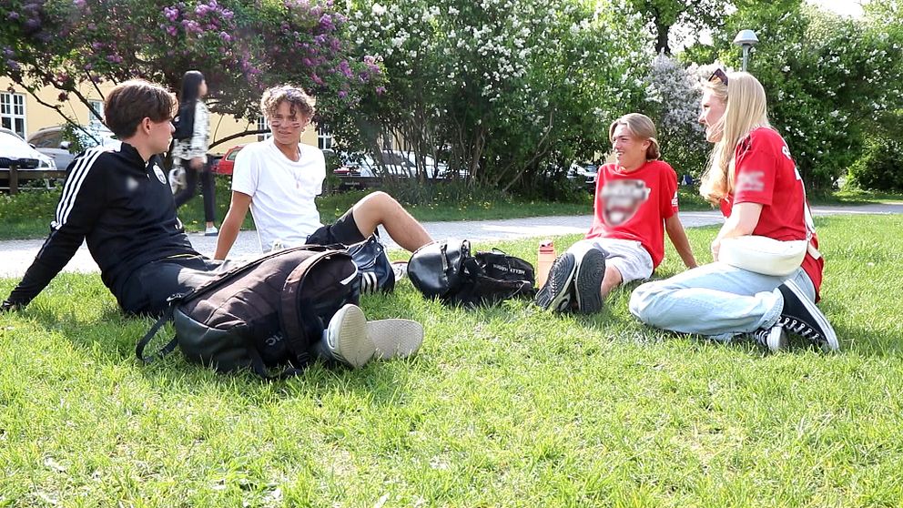 Fyra ungdomar sitter på en gräsmatta