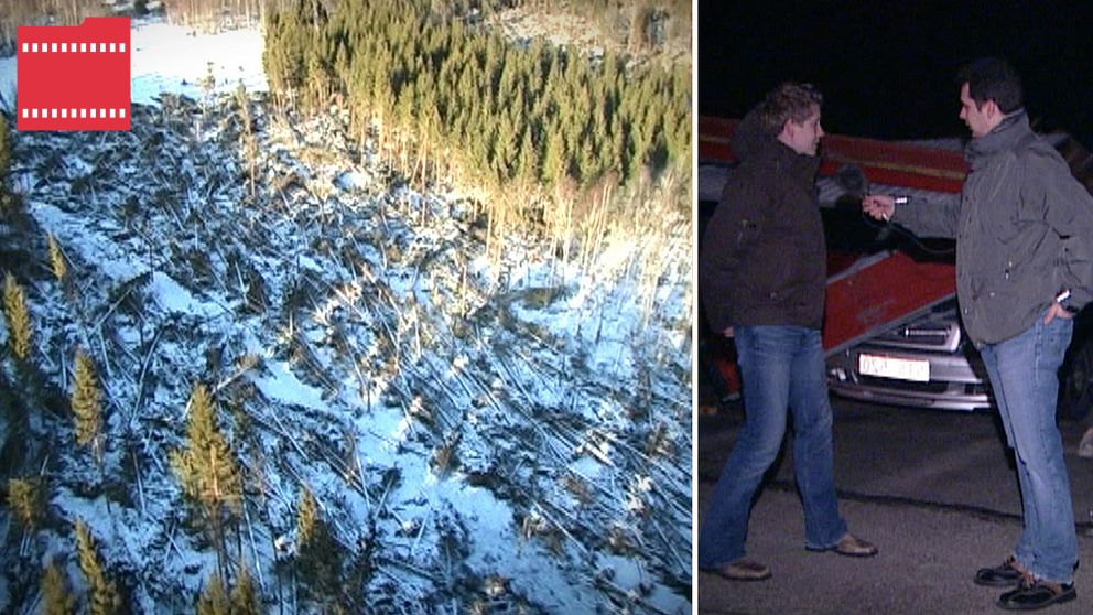 Den vänstra sektionen visar ett fågelperspektiv av ett skogsområde med nyligen nedfallna träd och snö, vilket indikerar en skada på landskapet. Den högra sektionen visar två män som skakar hand vid natten, med en bil i bakgrunden.