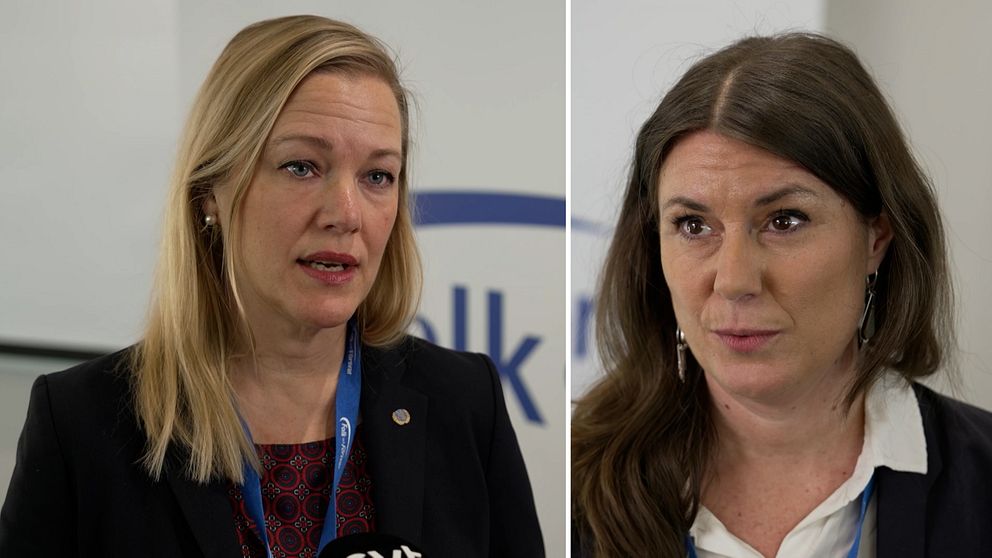 Kritik mot krigslarm från FN-förbundet och Svenska freds.