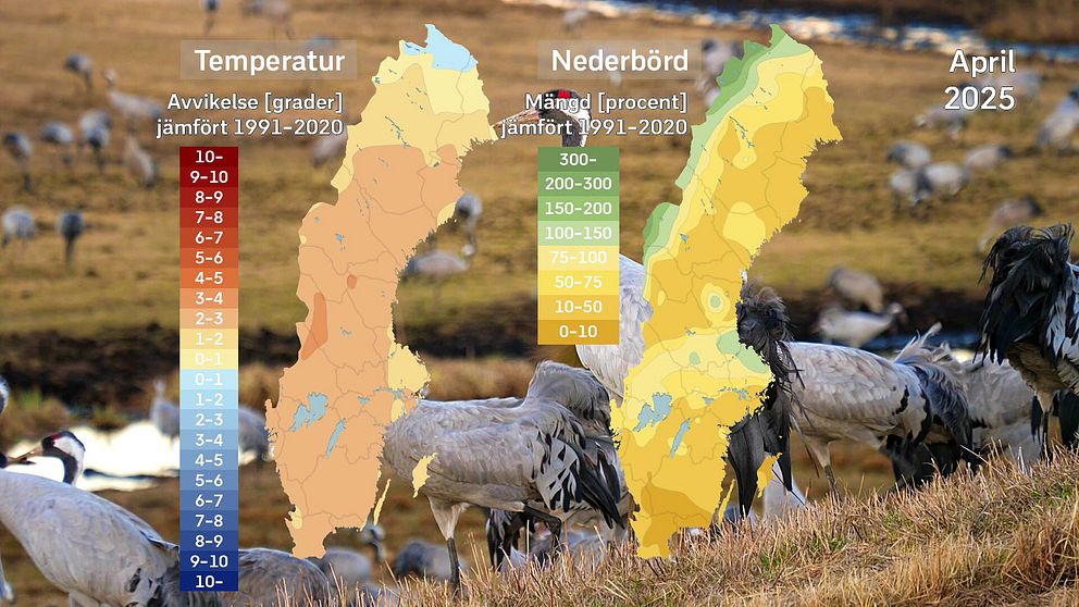 SVT:s meteorolog Per Stenborg sammanfattar det svenska aprilvädret 2025 på en och en halv minut.