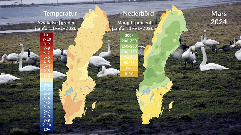 SVT:s meteorolog Per Stenborg sammanfattar det svenska marsvädret 2024 på en och en halv minut.