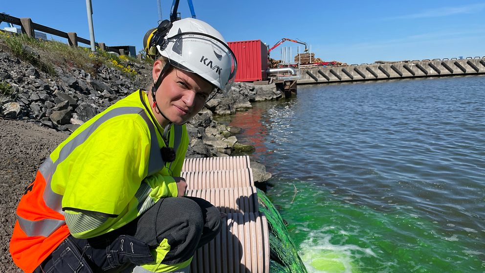 Maja Truedsson vid grönt vatten