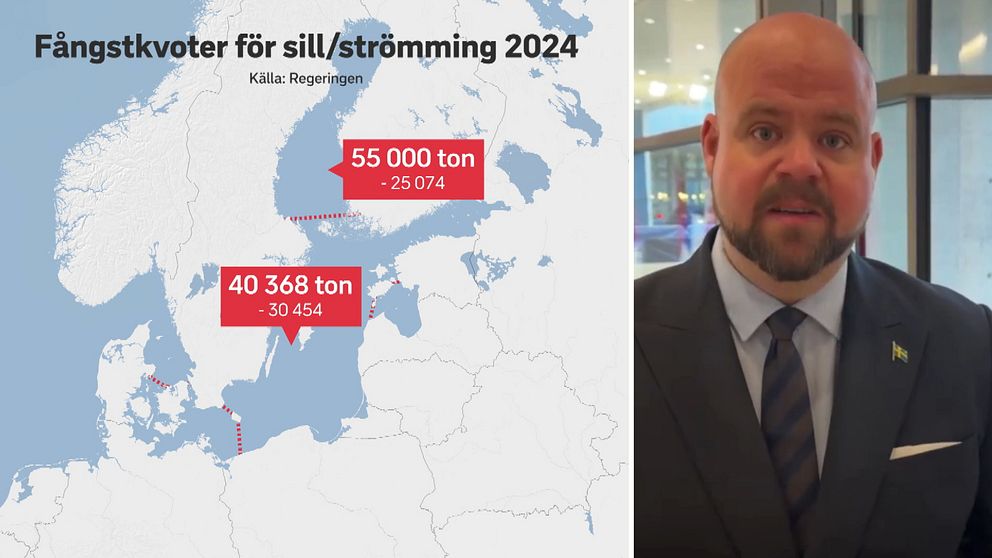 Till vänster: Landsbygdsminister Peter Kullgren. Till höger: karta/grafik över Sverige och Östersjön som visar Fångstkvoter för sill/strömmin 2024