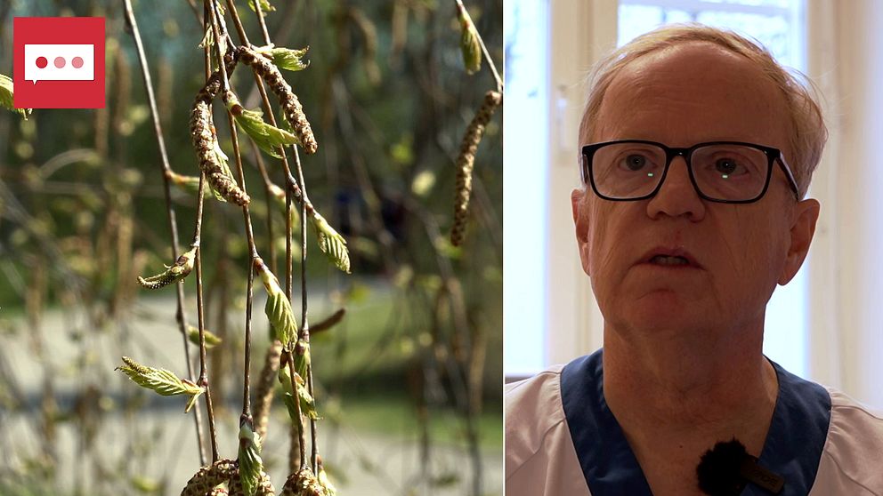 Den delade bilden visar löv och hängen från ett träd under våren i den vänstra sektionen, medan den högra sektionen fokuserar på en person iklädd arbetskläder med en mikrofon fäst vid kragen.