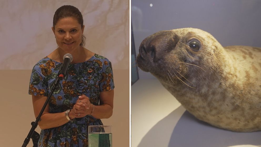 Naturhistoriskas nya utställning invigd av kronprinsessa Vitoria