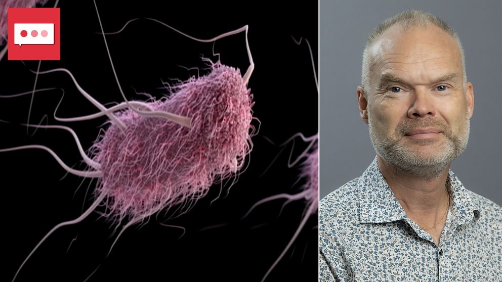 En bild som visar en bakterie i 3D med en lila färgnyans till vänster, vilket illustrerar dess detaljerade struktur, och en person som är delvis i fokus till höger. Den vänstra sektionen betonar den biologiska forskningen, medan den högra sektionen kan representera en människa som är involverad i detta område.