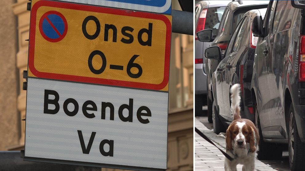 Delad bild som visar skylt om boendeparkering och en hund som går längs parkerade bilar. Bilden handlar om att höjda avgiften för boendeparkering i Stockholms innerstad blir kvar.