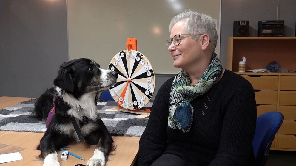 Hunden Flisan ligger på ett bord med sin hundförare Randi Claussen bredvid sig.rare