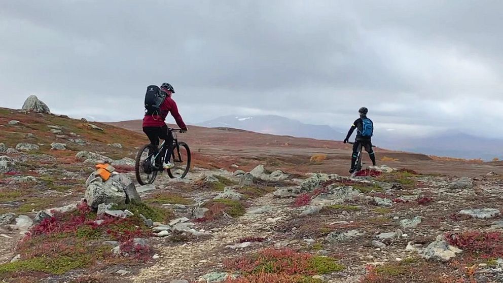 Två cyklister uppe på ett fjäll.