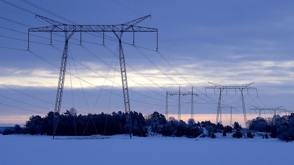 Kraftledningar i vinterlandskap