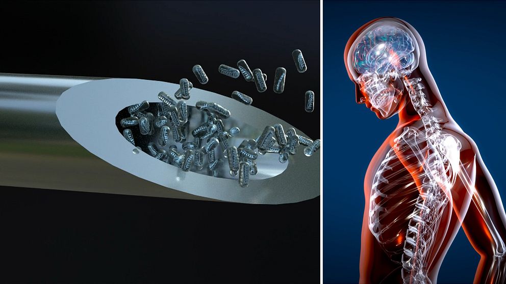 Till vänster: animation av mRNA i lipidbubblor sprutas ut ur förstorad sprutnål.  Till höger: animerad människa med inre organ och skelett synligt.