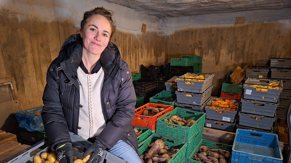 Grönsaksodlaren Simone Grind står bland backar med potatis, rödbetor, morötter osv.