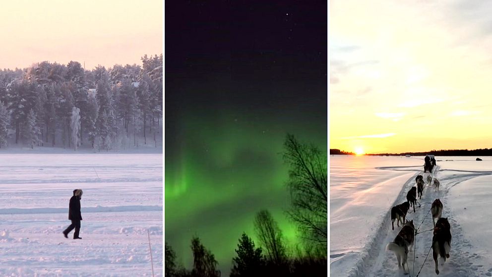 Tre bilder som föreställer isbanan i Luleå, norrsken och slädhundar.