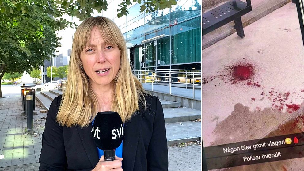 Kvinnlig reporter med mikrofon i handen. Blodstänk på marken i en busskur.