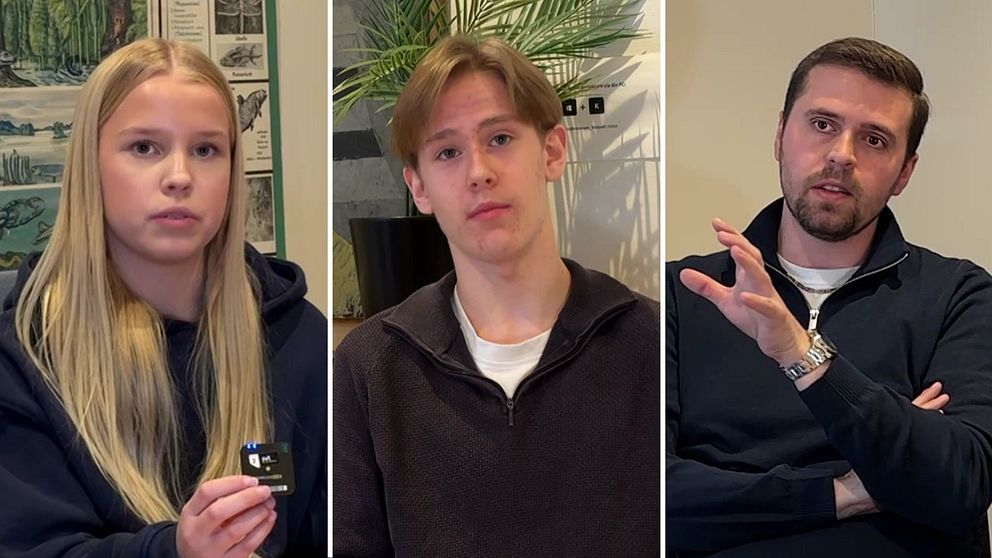 Tredelad bild. Till vänster: Elev, tonårstjej, med långt blont hår. I mitten: Elev, tonårskille, framför gröna växter. Till höger: Personal, man, som gestikulerar.