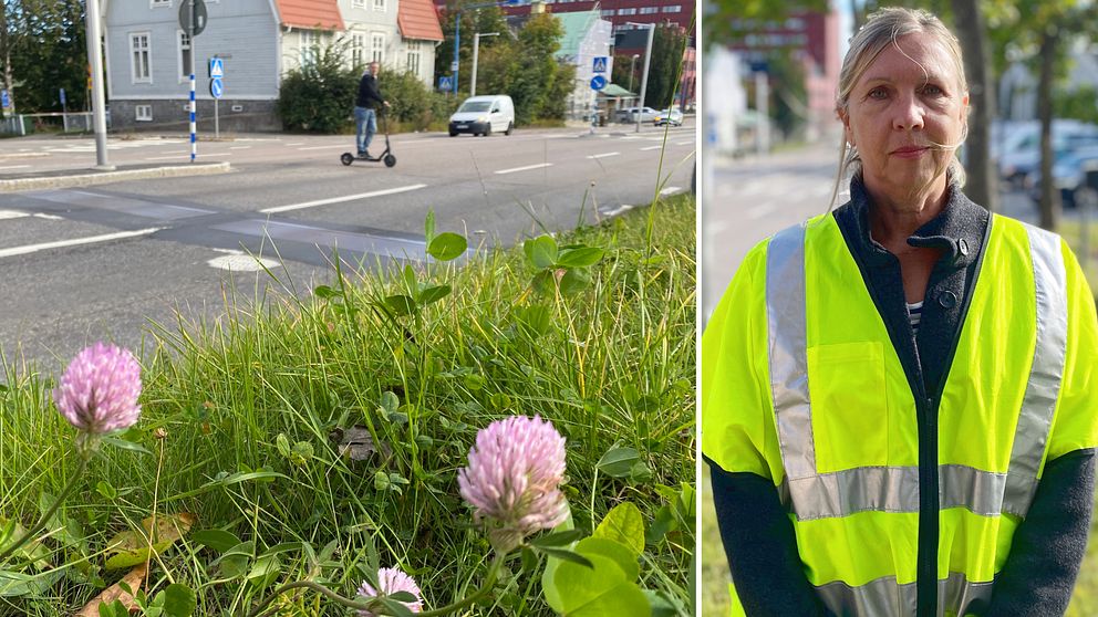Till vänster en bild på de nergrävda aktiva farthindren på Bergsgatan i Sundsvall i förgrunden rödklöver och i bakgrunden en man på elsparkcykel och till höger Trafikverkets planerare Gabriella Gulliksson