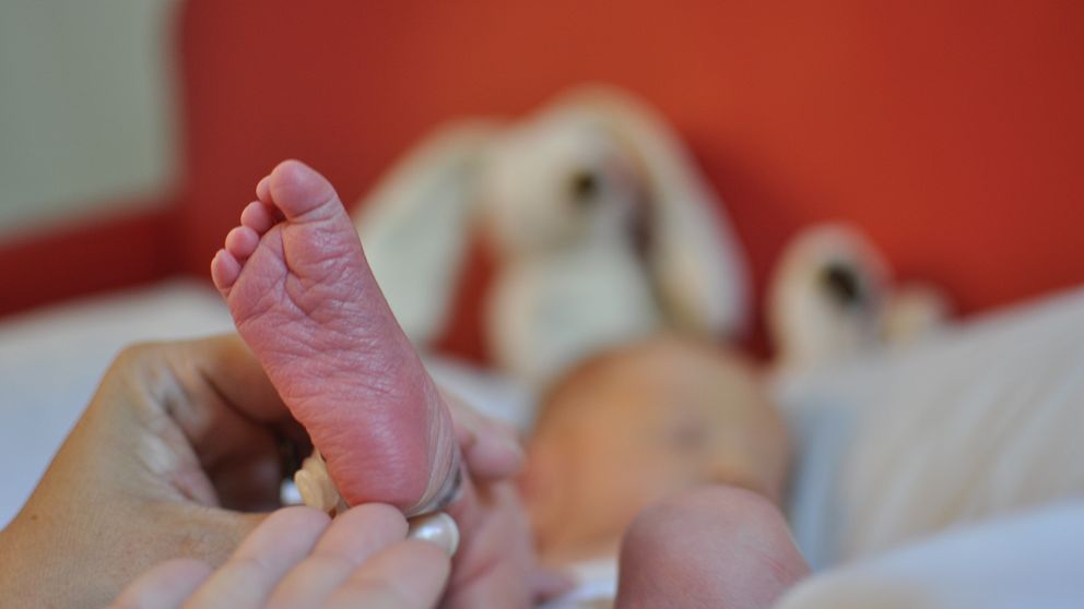 En hand håller försiktigt i en nyfödd babys fot, medan en bakgrund med mjuka leksaker, troligen kaniner, skapar en hemtrevlig atmosfär.